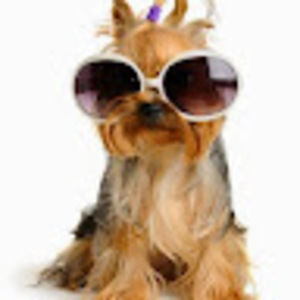 Meet your Posher, Geraldine